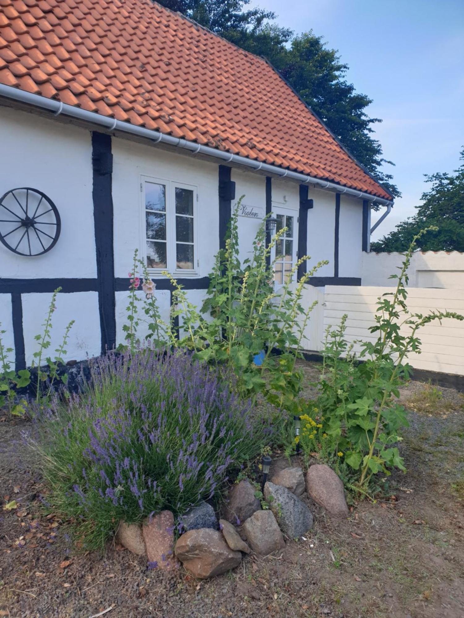 Violen Apartment Akirkeby Luaran gambar